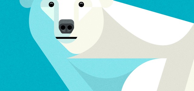 Polar bear